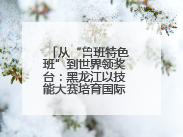 从“鲁班特色班”到世界领奖台：黑龙江以技能大赛培育国际级工匠人才