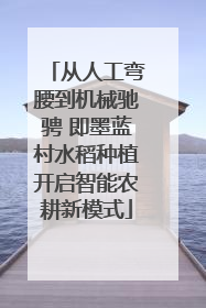 从人工弯腰到机械驰骋 即墨蓝村水稻种植开启智能农耕新模式