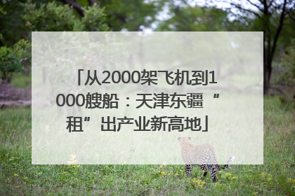 从2000架飞机到1000艘船：天津东疆“租”出产业新高地
