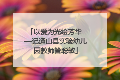 以爱为光绘芳华——记通山县实验幼儿园教师管聪敏