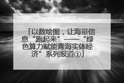 以数绘图，让海量信息“跑起来”——“绿色算力赋能青海实体经济”系列报道①