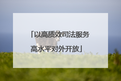 以高质效司法服务高水平对外开放