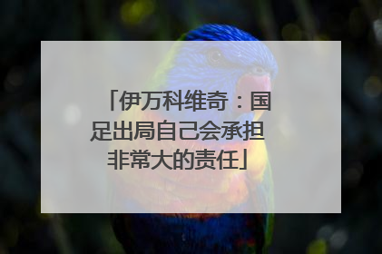 伊万科维奇：国足出局自己会承担非常大的责任