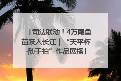 司法联动！4万尾鱼苗跃入长江｜“天平杯·随手拍”作品展播