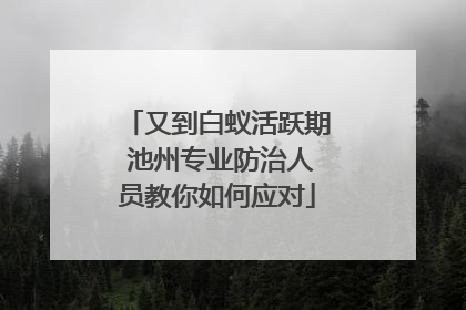 又到白蚁活跃期 池州专业防治人员教你如何应对