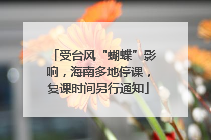 受台风“蝴蝶”影响，海南多地停课，复课时间另行通知