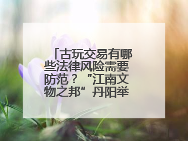 古玩交易有哪些法律风险需要防范？“江南文物之邦”丹阳举行专题讲座
