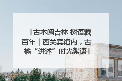 古木阅吉林 树语藏百年｜西关宾馆内，古榆“讲述”时光絮语