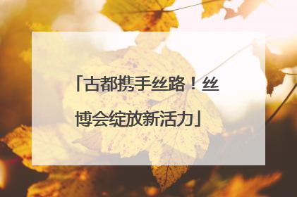 古都携手丝路！丝博会绽放新活力