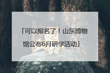 可以报名了！山东博物馆公布6月研学活动