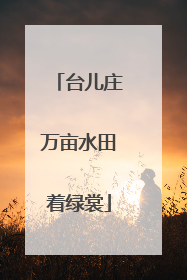 台儿庄万亩水田着绿裳