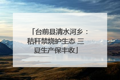 台前县清水河乡：秸秆禁烧护生态 三夏生产保丰收