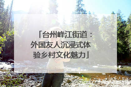 台州峰江街道：外国友人沉浸式体验乡村文化魅力