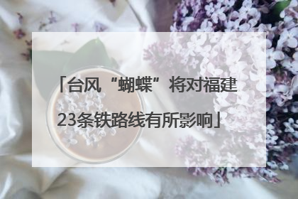 台风“蝴蝶”将对福建23条铁路线有所影响