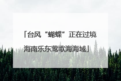 台风“蝴蝶”正在过境海南乐东莺歌海海域