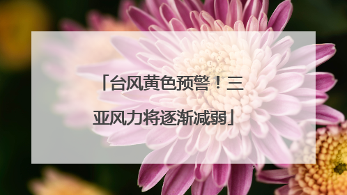 台风黄色预警！三亚风力将逐渐减弱