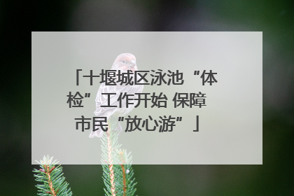 十堰城区泳池“体检”工作开始 保障市民“放心游”