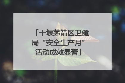 十堰茅箭区卫健局“安全生产月”活动成效显著