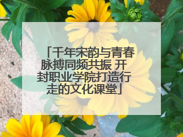 千年宋韵与青春脉搏同频共振 开封职业学院打造行走的文化课堂