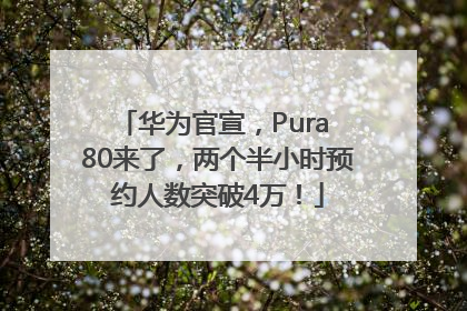 华为官宣，Pura 80来了，两个半小时预约人数突破4万！
