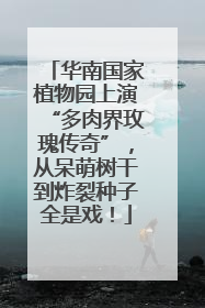 华南国家植物园上演“多肉界玫瑰传奇”，从呆萌树干到炸裂种子全是戏！