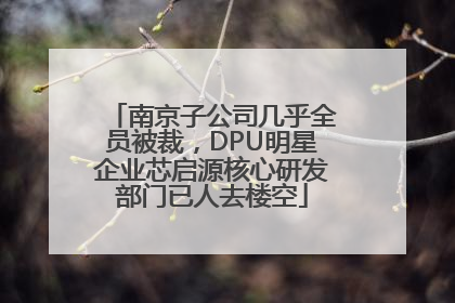南京子公司几乎全员被裁，DPU明星企业芯启源核心研发部门已人去楼空