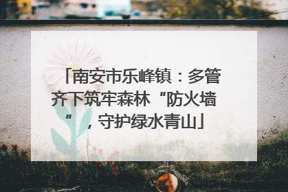 南安市乐峰镇：多管齐下筑牢森林“防火墙”，守护绿水青山