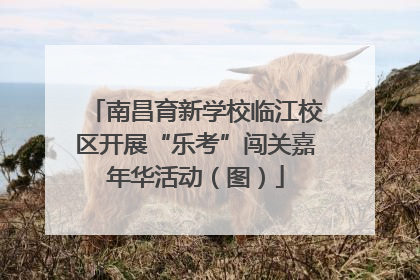 南昌育新学校临江校区开展“乐考”闯关嘉年华活动（图）