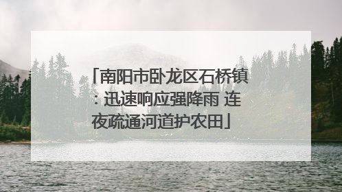 南阳市卧龙区石桥镇：迅速响应强降雨 连夜疏通河道护农田