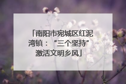 南阳市宛城区红泥湾镇：“三个坚持”激活文明乡风