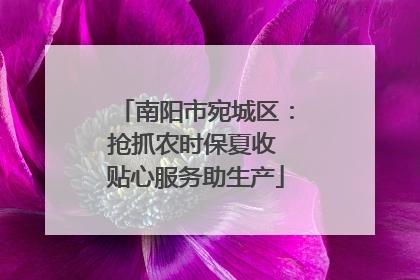 南阳市宛城区：抢抓农时保夏收 贴心服务助生产