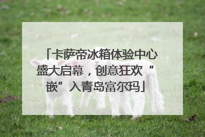 卡萨帝冰箱体验中心盛大启幕，创意狂欢“嵌”入青岛富尔玛