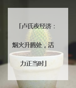 卢氏夜经济：烟火升腾处，活力正当时