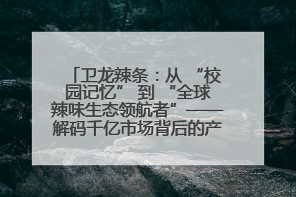 卫龙辣条：从 “校园记忆” 到 “全球辣味生态领航者”——解码千亿市场背后的产品创新与全链路破圈