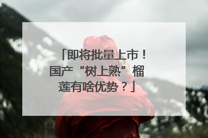 即将批量上市！国产“树上熟”榴莲有啥优势？