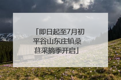 即日起至7月初 平谷山东庄镇桑葚采摘季开启