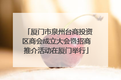 厦门市泉州台商投资区商会成立大会暨招商推介活动在厦门举行