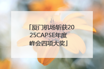 厦门机场斩获2025CAPSE年度峰会四项大奖
