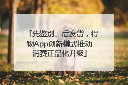 先鉴别、后发货，得物App创新模式推动消费正品化升级