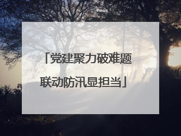 党建聚力破难题 联动防汛显担当
