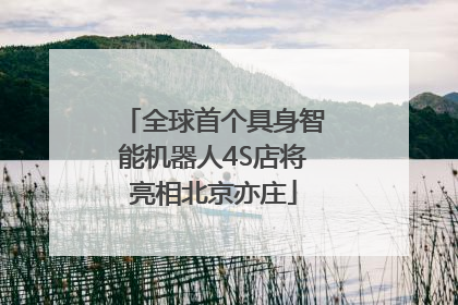 全球首个具身智能机器人4S店将亮相北京亦庄