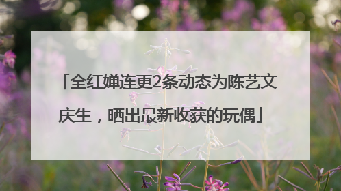 全红婵连更2条动态为陈艺文庆生，晒出最新收获的玩偶