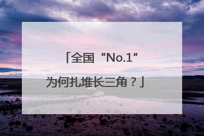 全国“No.1”为何扎堆长三角？