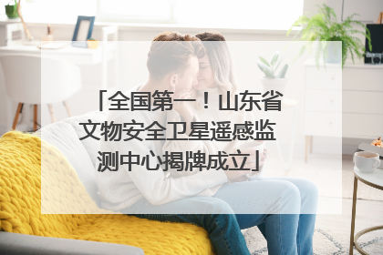 全国第一！山东省文物安全卫星遥感监测中心揭牌成立