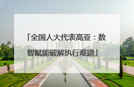 全国人大代表高亚：数智赋能破解执行难题