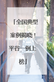 全国典型案例揭晓！平谷一例上榜