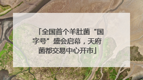 全国首个羊肚菌“国字号”盛会启幕，天府菌都交易中心开市