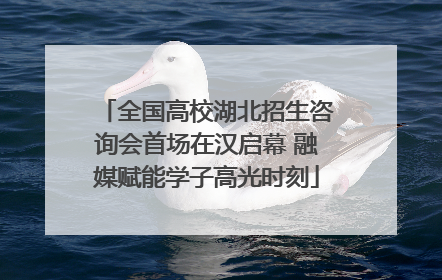 全国高校湖北招生咨询会首场在汉启幕 融媒赋能学子高光时刻