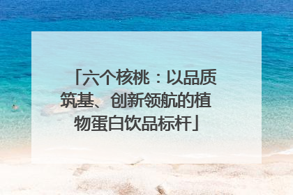 六个核桃：以品质筑基、创新领航的植物蛋白饮品标杆