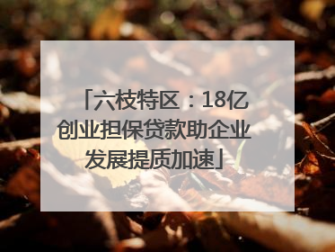 六枝特区：18亿创业担保贷款助企业发展提质加速